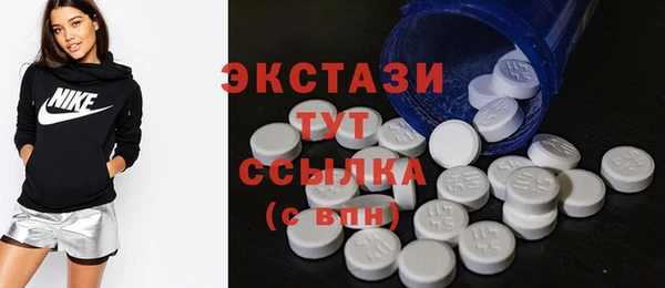 индика Билибино