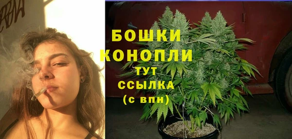 молекула духа Нефтегорск
