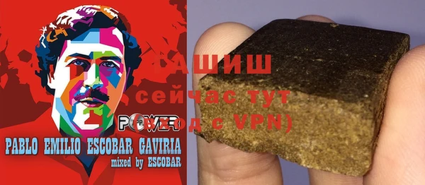 гашик Надым