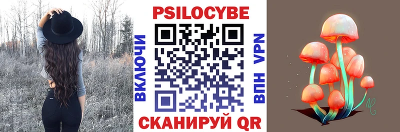 Псилоцибиновые грибы Psilocybe  маркетплейс какой сайт  Тырныауз 